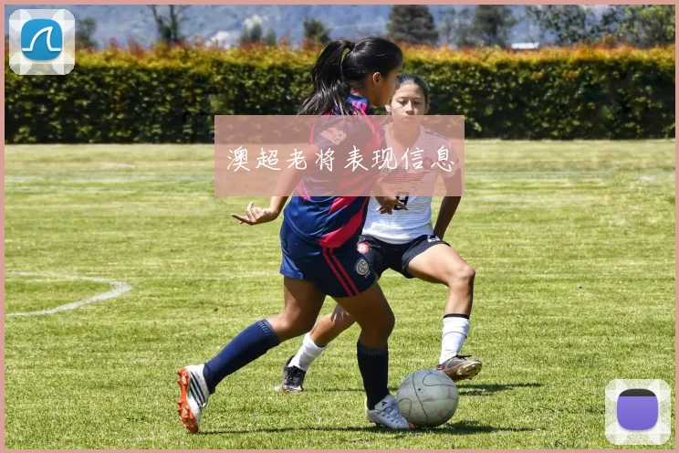 澳超老将表现信息