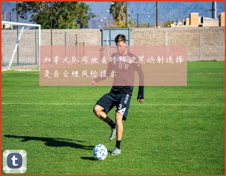 加拿大队布坎南对阵波黑远射选择是否合理风险提示