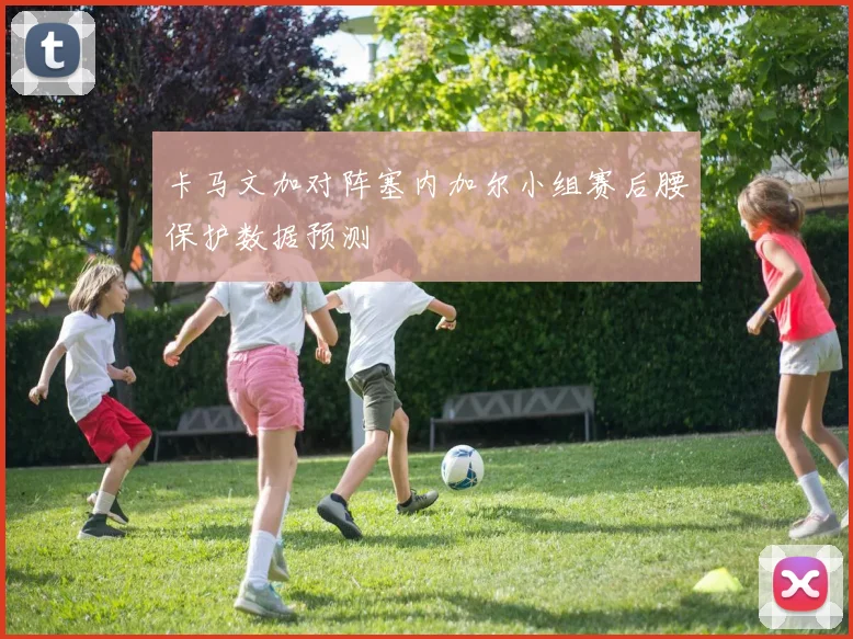 卡马文加对阵塞内加尔小组赛后腰保护数据预测